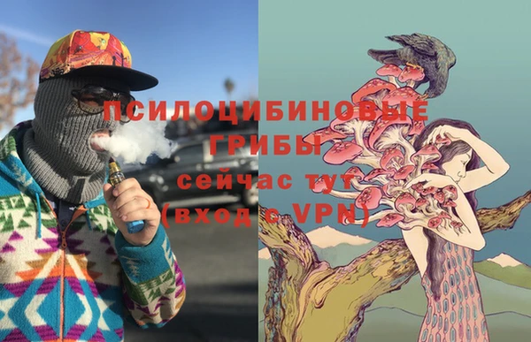 ALPHA-PVP Алексеевка