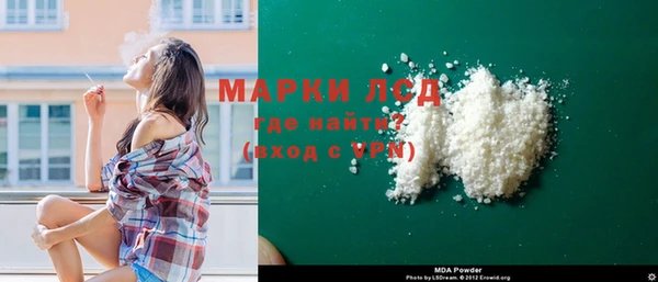 прущие грибы Алзамай