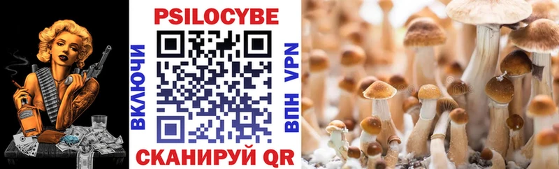 мориарти клад  Южно-Сахалинск  Псилоцибиновые грибы Magic Shrooms 